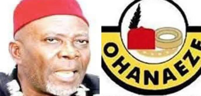 JUST IN: Okwukwu elected Ohanaeze Ndigbo president-general