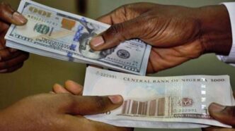 Naira strengthens to N1,510/$ in official, parallel markets