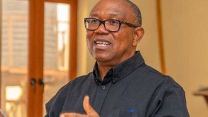 My life, family in danger over New Year message - Peter Obi