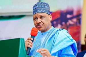 We'll partner with NASS, media on review of Cybercrime Act - Minister