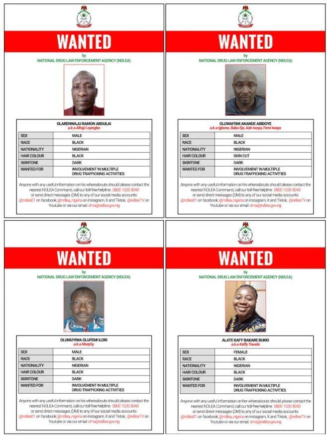 NDLEA declares four accomplices of Lagos drug kingpin wanted