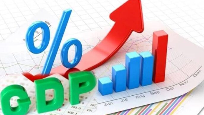 JUST IN: Nigeria’s GDP grew by 3.84% in Q4 2024 - NBS