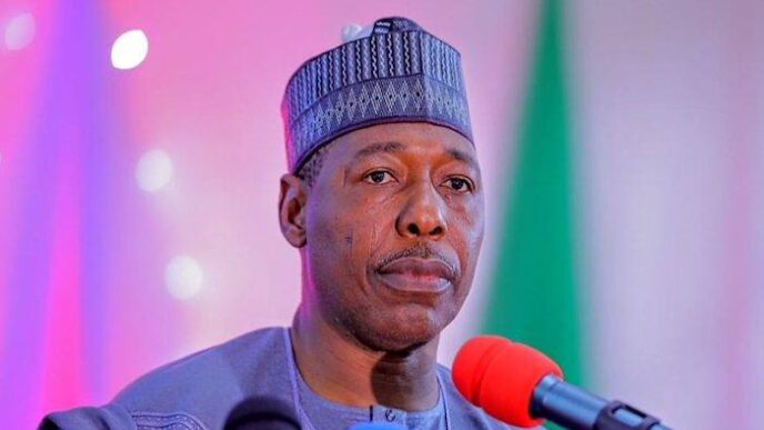 Zulum: Some politicians, soldiers act as informants to Boko Haram