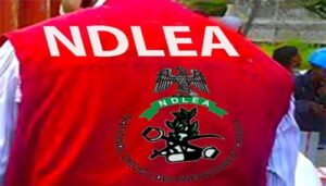 NDLEA seizes N6.5b worth of illicit drugs, arrests four over cannabis