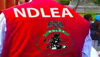 NDLEA seizes N6.5b worth of illicit drugs, arrests four over cannabis