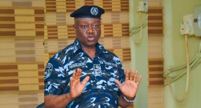 Investors sue ex-police commissioner, Aderemi Adeoye, over N1.4bn dispute