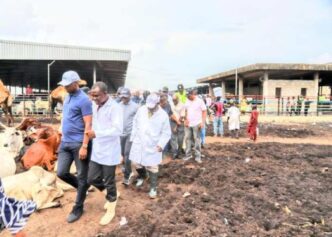 Why we shut Agege abattoir market – Lagos govt