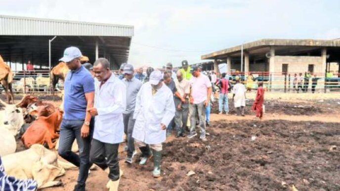 Why we shut Agege abattoir market – Lagos govt