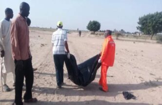 10 killed, seven injured as suicide bomber attack Borno market