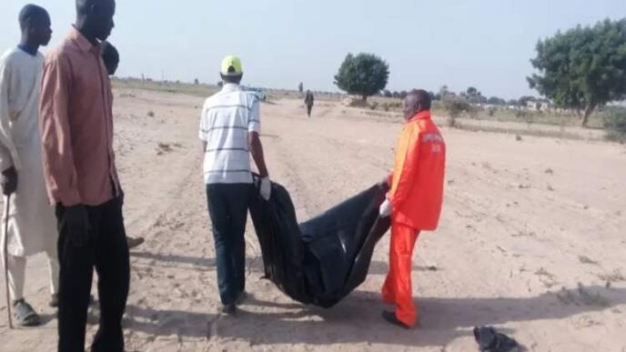 10 killed, seven injured as suicide bomber attack Borno market