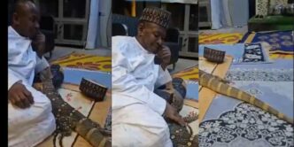 Python, other wild animals found in home of ex-AGF, Ahmed Idris