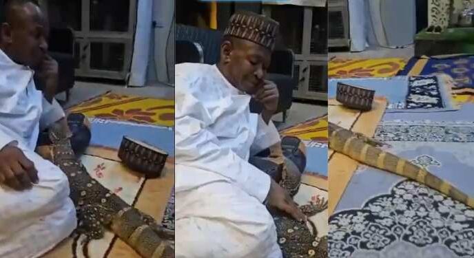 Python, other wild animals found in home of ex-AGF, Ahmed Idris
