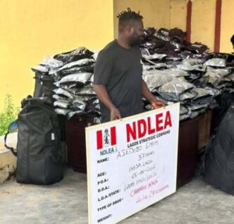NDLEA nabs socialite, Emami Ajetsibogho for smuggling 414.2kg Cannabis