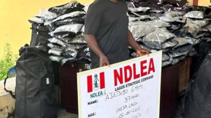 NDLEA nabs socialite, Emami Ajetsibogho for smuggling 414.2kg Cannabis