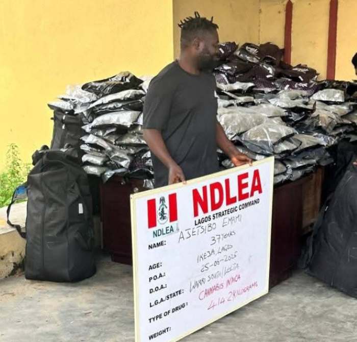 NDLEA nabs socialite, Emami Ajetsibogho for smuggling 414.2kg Cannabis