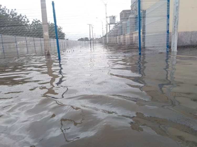 Eight buildings collapse, many displaced as flood ravages Borno