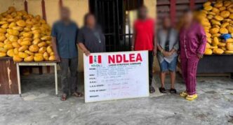 How NDLEA nabbed bizman, Ajah Johnson Uchenna, family members over drug deal