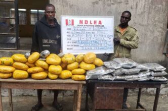 NDLEA nabs drug lords, seizes cannabis, cocaine hidden in microwaves, lipsticks