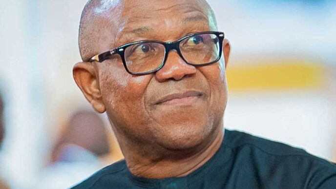 National Publicity Secretary, Labour Party (LP), Abayomi Arabambi, says that a National Executive Committee (NEC) meeting will be convened to recommend Presidential aspirant in the 2023 election, Peter Obi, for expulsion.