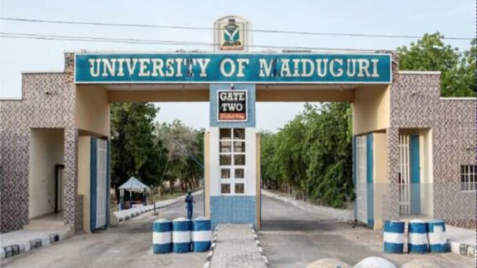 JUST IN: Tinubu renames University of Maiduguri after Buhari