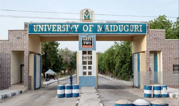 JUST IN: Tinubu renames University of Maiduguri after Buhari