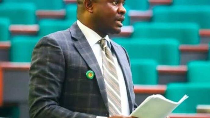 Dr. Farah Dagogo, a former Member of the House of Representatives, has described that the suspension of elected officials in Rivers State by President Bola Ahmed Tinubu as a rape of democracy and a clear violation of the Nigerian Constitution.
