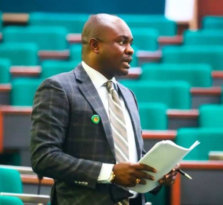 Dr. Farah Dagogo, a former Member of the House of Representatives, has described that the suspension of elected officials in Rivers State by President Bola Ahmed Tinubu as a rape of democracy and a clear violation of the Nigerian Constitution.
