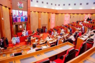 The Nigerian Senate has appealed to the Federal Government to suspend the use of public funds for procuring electricity infrastructure that, in most cases, ends up as private assets controlled by electricity distribution companies (DISCOs).