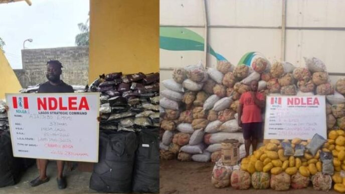Drug barons, Ajetsibo Emami, Solomon Akpomuai, jailed 10 years