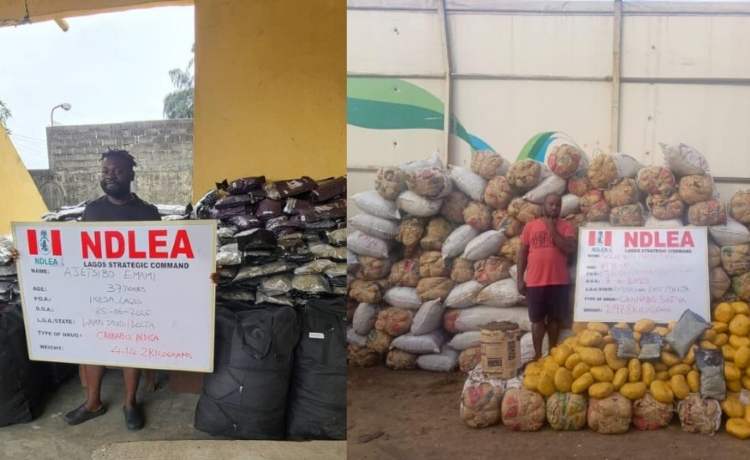 Drug barons, Ajetsibo Emami, Solomon Akpomuai, jailed 10 years
