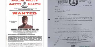 Bizman, Elusoji Oluwasegun Roland declared wanted over 'N1.2bn fraud'