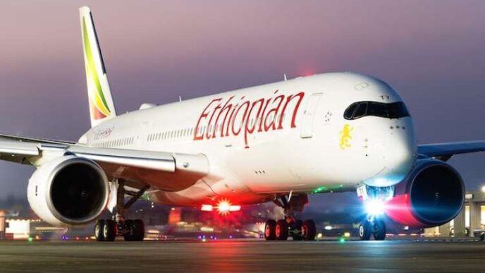 Maryam Hussaini-Abdullahi: Ethiopian Airlines accused of 'planting'