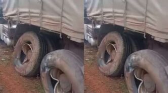 VIDEO: Dangote truck crushes family to death in Enugu