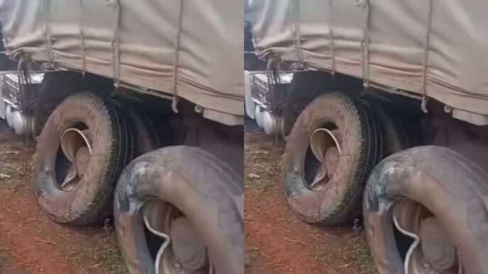 VIDEO: Dangote truck crushes family to death in Enugu