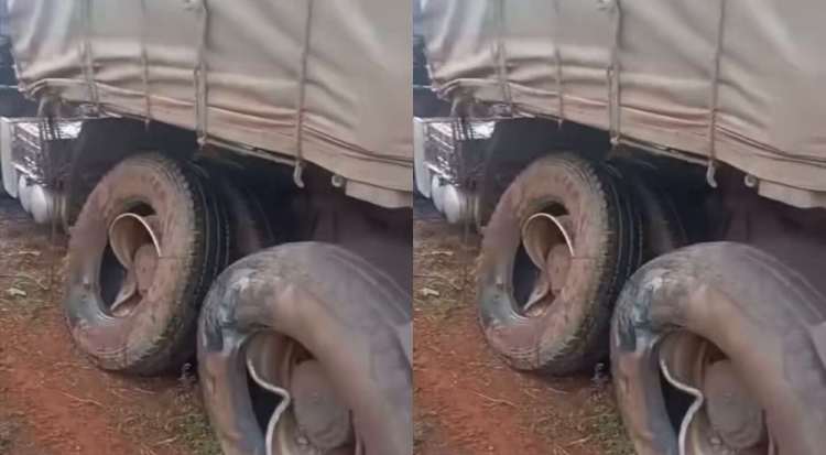 VIDEO: Dangote truck crushes family to death in Enugu
