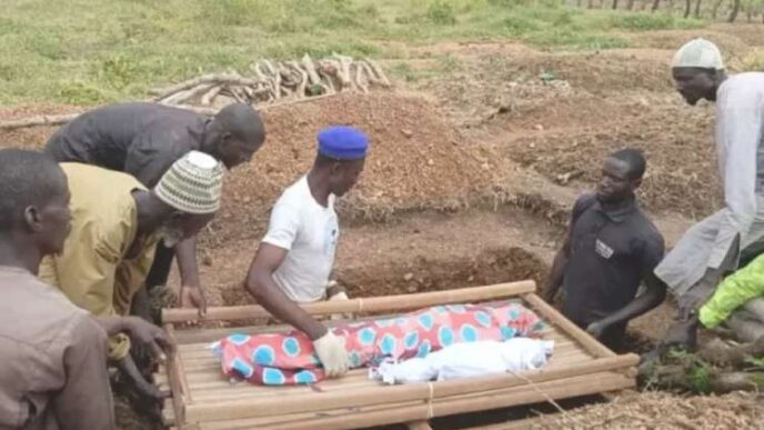 JUST IN: 29 die, 50 rescued as boat capsizes in Niger
