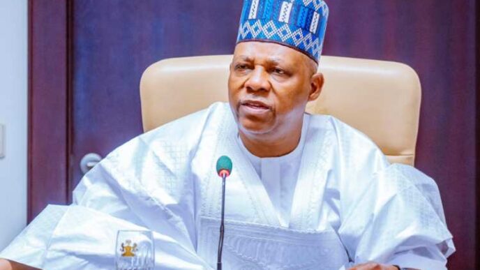 They told Tinubu I planned to kill him - Shettima