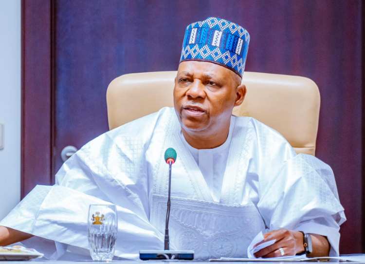 They told Tinubu I planned to kill him - Shettima