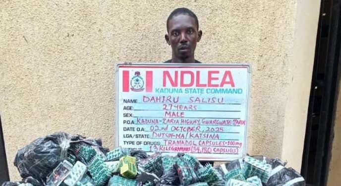 NDLEA nabs six drug lords, foils UK-Bound cocaine shipments
