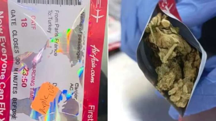 VIDEO: NDLEA uncovers drugs hidden in flight boarding passes