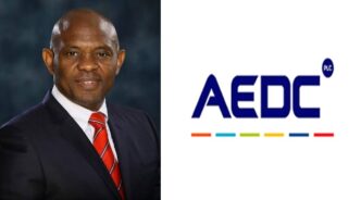 Tony Elumelu's AEDC lays-off 800 workers amid epileptic power supply