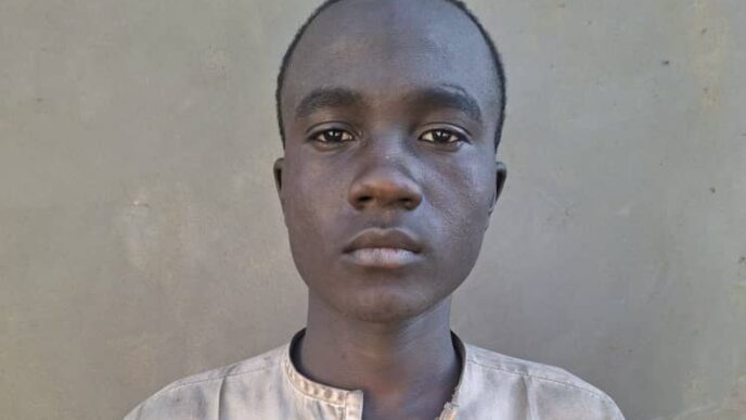 I was paid N100k to bomb Borno mosque - Suspect