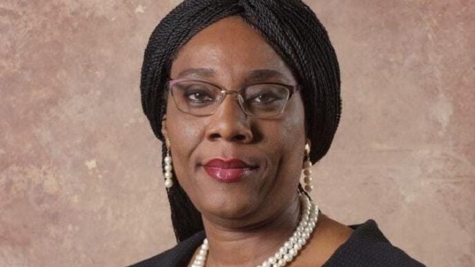 JUST IN: Tinubu appoints first female DG of Nigerian Law School