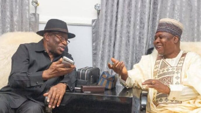 Jonathan has pledged deeper role in PDP — Turaki