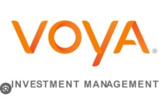Voya Investment fraudulent, not licensed to operate in capital market - SEC