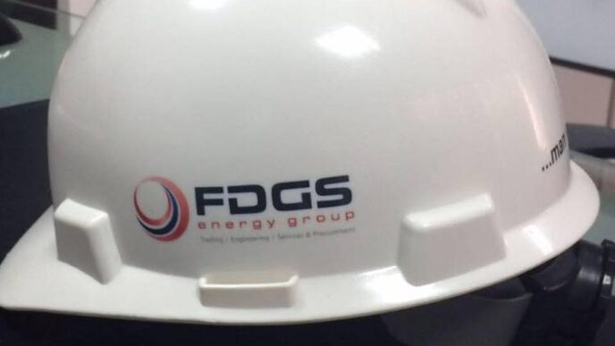 FDGS Energy Group's accounts, assets frozen over $7.9m, N399m debt