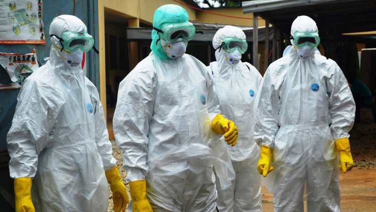 Lassa Fever: Plateau confirms four deaths as cases rise to 11
