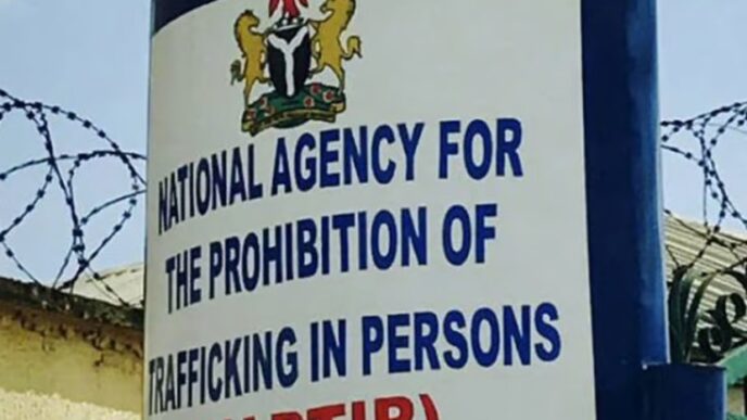 NAPTIP rescues 17 trafficked victims, arrests four suspects in Anambra
