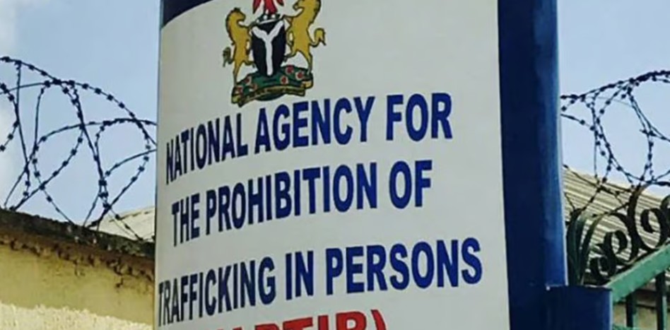 NAPTIP rescues 17 trafficked victims, arrests four suspects in Anambra