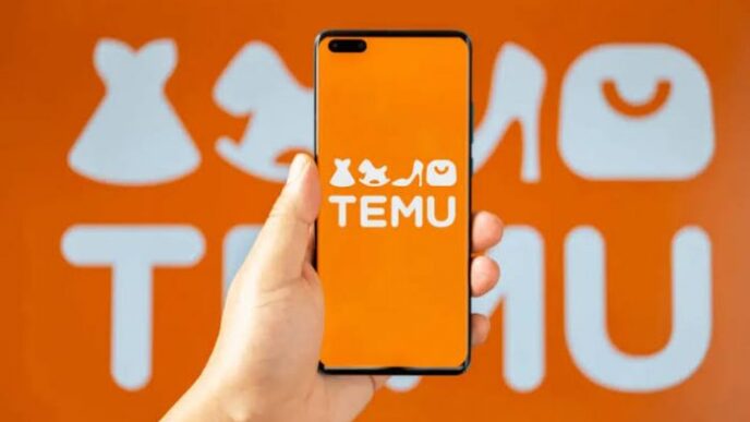 FG investigates Temu over alleged data protection violations